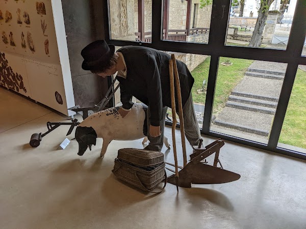 Écomusée de la Truffe - Photo 4 - Passeport Gourmand