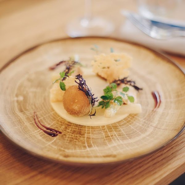 Modjo - Photo 6 - Passeport Gourmand