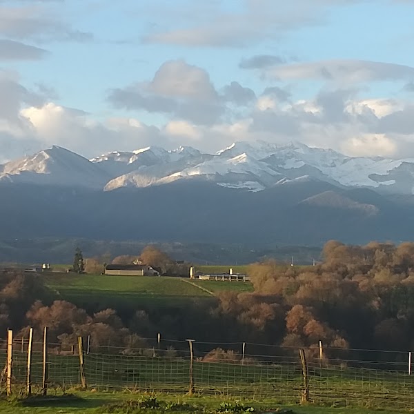 Les 3 collines - Photo 5 - Passeport Gourmand