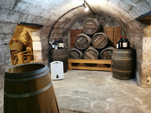 Musée du Vin et du Négoce - Photo 8 - Passeport Gourmand