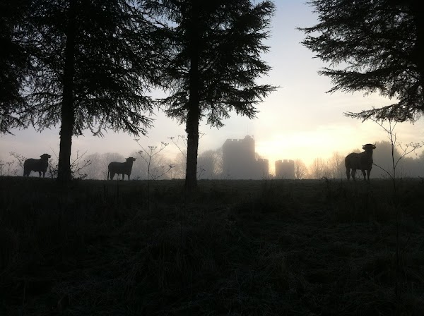 Château de Roquetaillade - Photo 1 - Passeport Gourmand