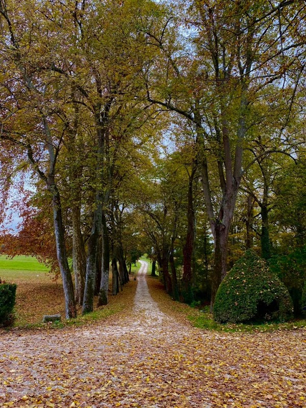 Château Montlau - Photo 10 - Passeport Gourmand