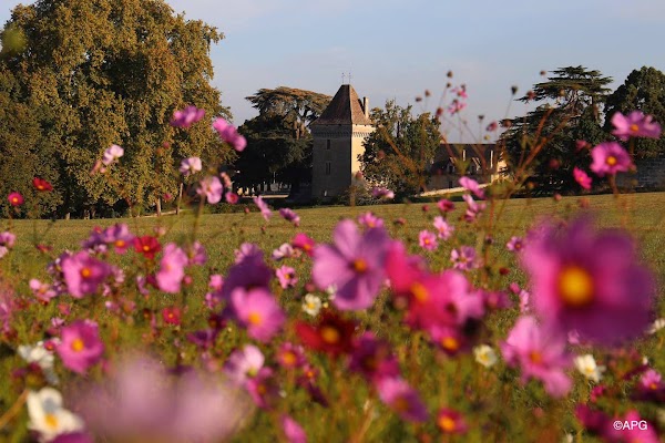 Château Montlau - Photo 3 - Passeport Gourmand