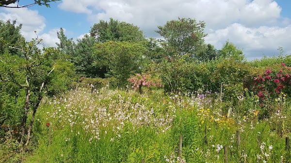 Château de Mongenan - Photo 9 - Passeport Gourmand