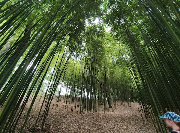 Château Royal de Cazeneuve - Photo 6 - Passeport Gourmand