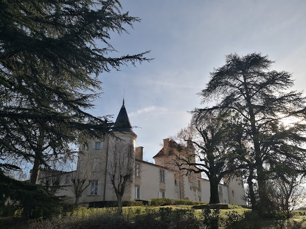 Château Toulouse-Lautrec - Photo 3 - Passeport Gourmand