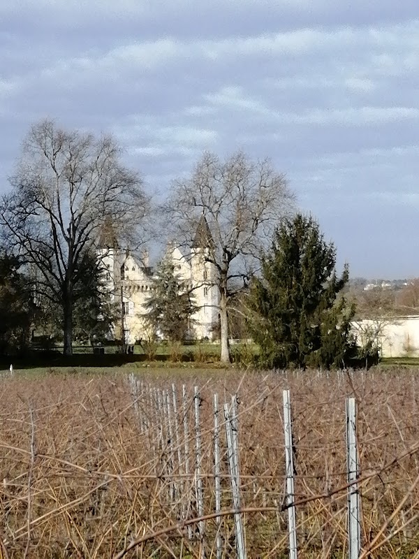 Château du Grand Puch - Photo 5 - Passeport Gourmand