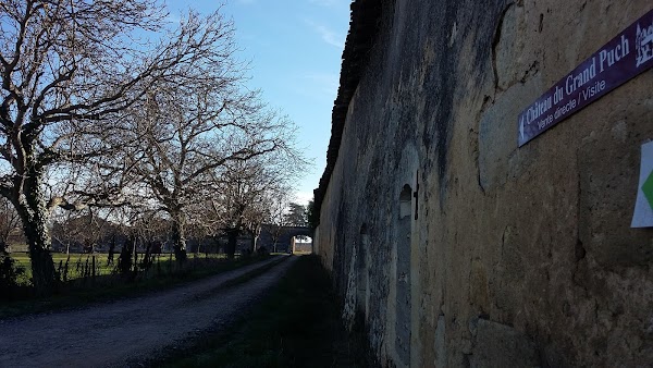 Château du Grand Puch - Photo 9 - Passeport Gourmand