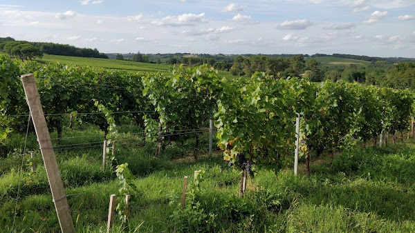 Domaine de Malagar - Photo 3 - Passeport Gourmand