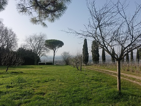 Domaine de Malagar - Photo 4 - Passeport Gourmand