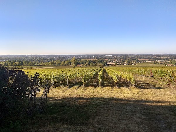 Domaine de Malagar - Photo 7 - Passeport Gourmand