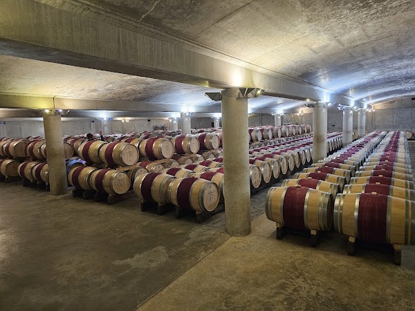 Château Carbonnieux - Photo 3 - Passeport Gourmand