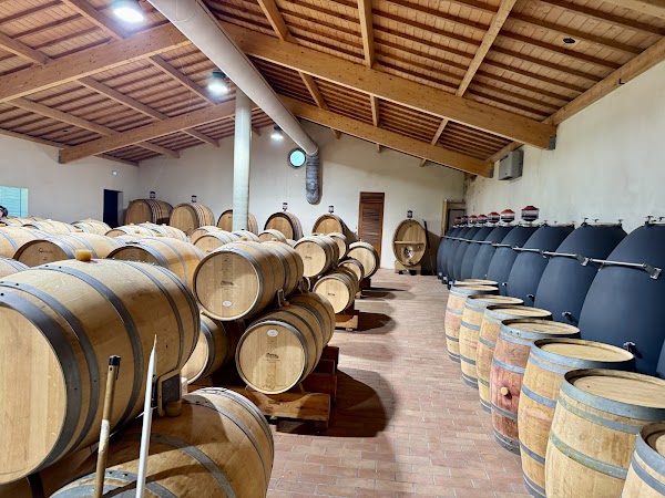 Vert Bordeaux – Excursions Durables - Photo 5 - Passeport Gourmand