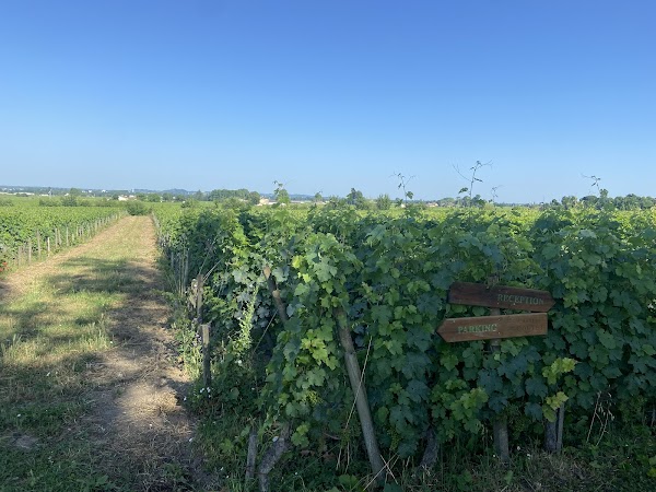 Vert Bordeaux – Excursions Durables - Photo 9 - Passeport Gourmand