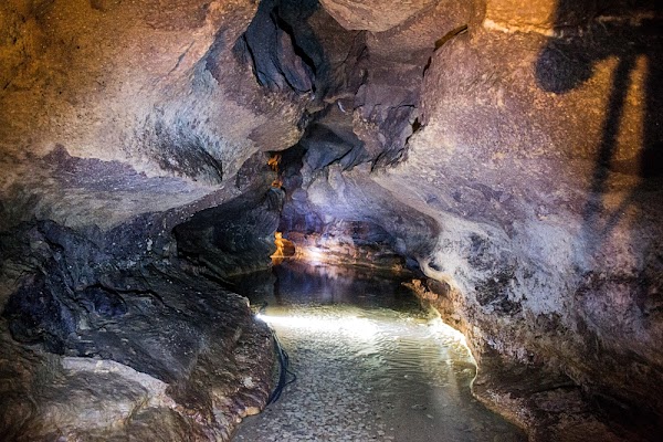 Grotte Célestine de Rauzan - Photo 6 - Passeport Gourmand
