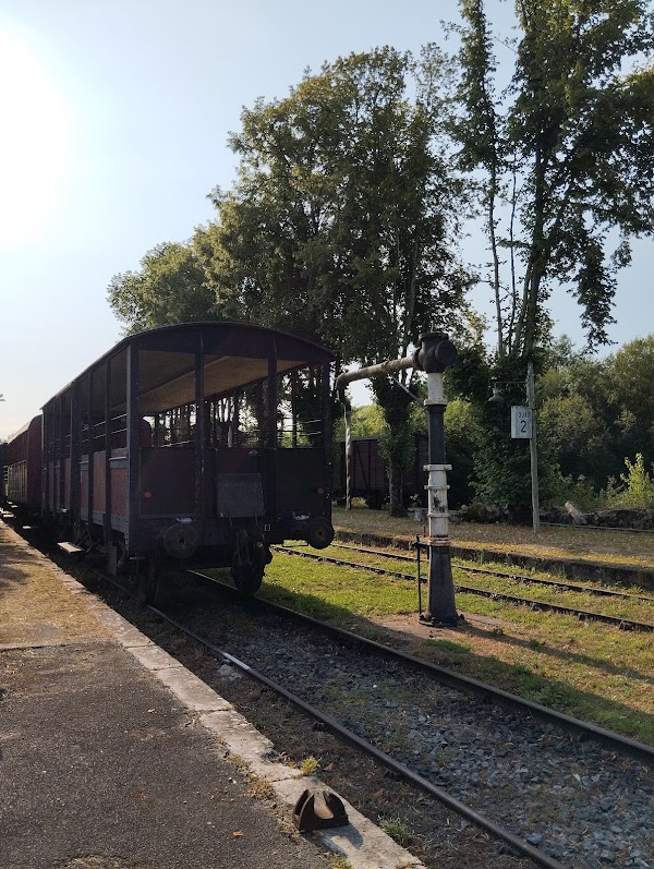 Train Touristique Guîtres-Marcenais - Photo 2 - Passeport Gourmand