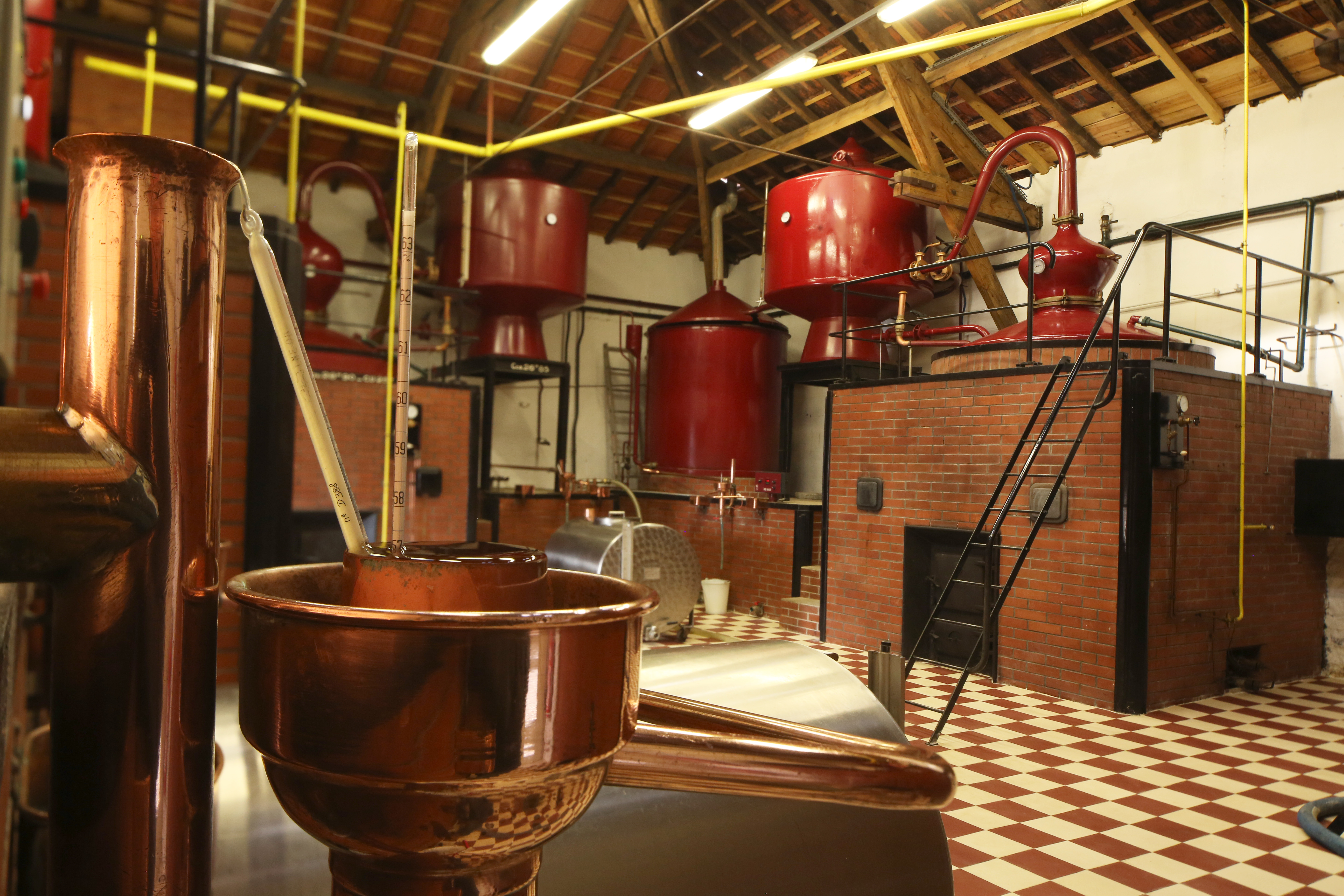 Distillerie Naud - Photo 3 - Passeport Gourmand