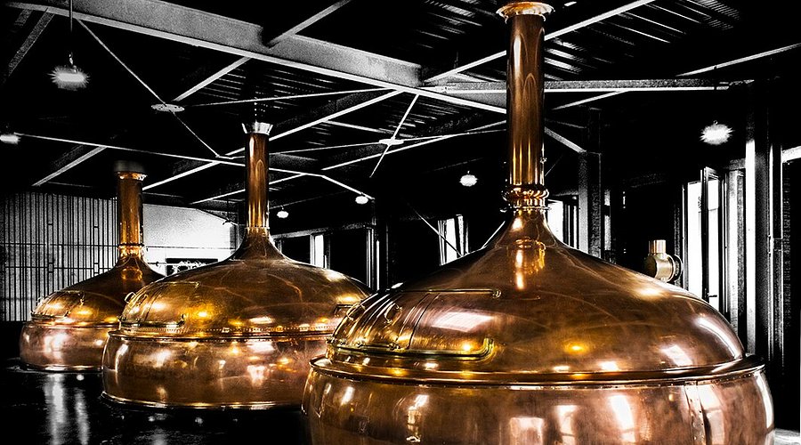 Distillerie de Fontagard - Photo 5 - Passeport Gourmand